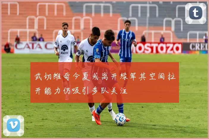 武切维奇今夏或离开绿军其空间拉开能力仍吸引多队关注